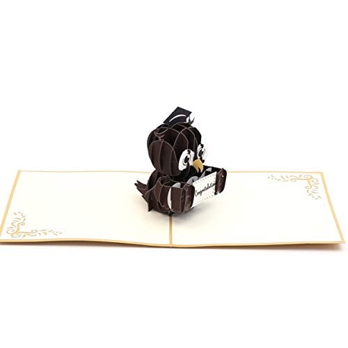 Liif Graduation Owl 2024 3D Pop Up Graduation Card, Class of 2024 - Image 3