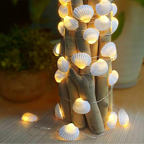 WSgift Natural Beach Seashell String Lights 13.85 Ft 40 Warm White LED Weatherproof Battery Operated 8 Modes Ocean Lights for Holiday Parties Bedrooms Weddings Gardens with Remote and Timer - Image 1