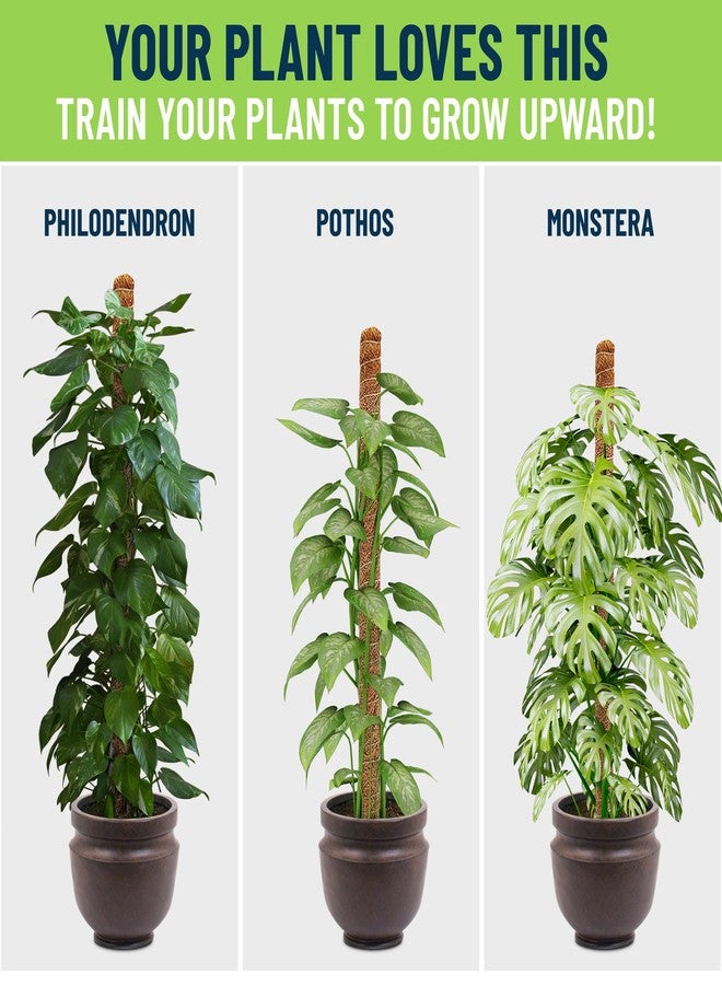 MEGA FORMAT Bendable Monstera Plant Support - Climbing Plants, Moss Pole for Plants Monstera, Moss Poles for Climbing Plants, Plant Support Plant Stakes for Indoor 28" - 2 Pack - Image 5