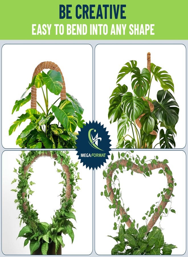 MEGA FORMAT Bendable Monstera Plant Support - Climbing Plants, Moss Pole for Plants Monstera, Moss Poles for Climbing Plants, Plant Support Plant Stakes for Indoor 28" - 2 Pack - Image 4