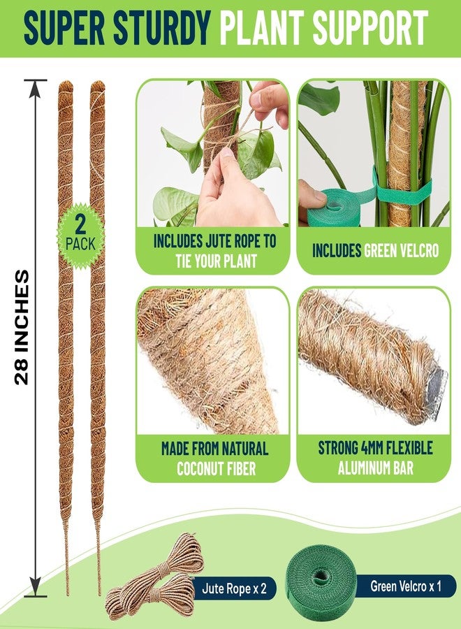 MEGA FORMAT Bendable Monstera Plant Support - Climbing Plants, Moss Pole for Plants Monstera, Moss Poles for Climbing Plants, Plant Support Plant Stakes for Indoor 28" - 2 Pack - Image 2