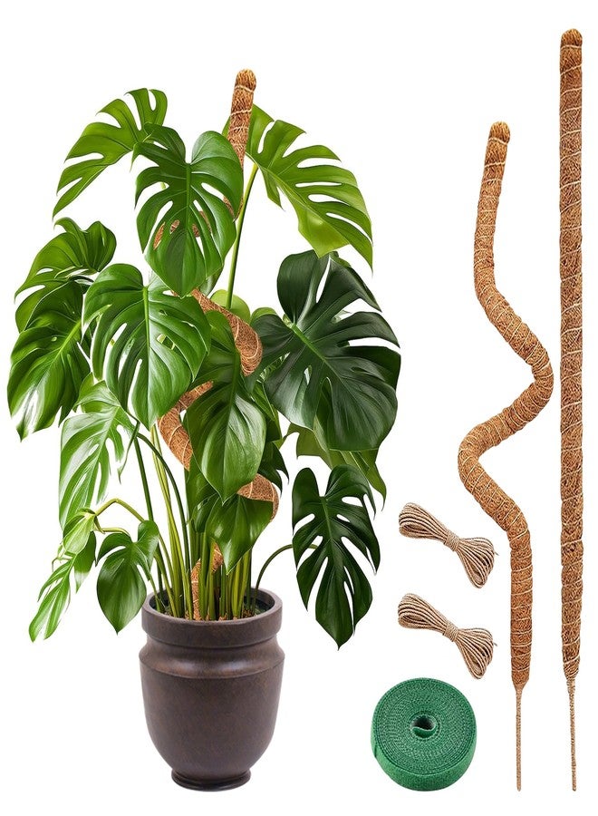 MEGA FORMAT Bendable Monstera Plant Support - Climbing Plants, Moss Pole for Plants Monstera, Moss Poles for Climbing Plants, Plant Support Plant Stakes for Indoor 28" - 2 Pack - Image 1