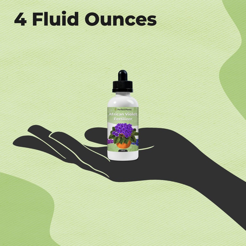 PERFECT PLANTS Liquid African Violet Food Drops by Perfect Plants | Fertilizer for Your Live Indoor Flowering Plant Garden | Packed with Premium Nutrients and Plant Foods | NPK 2-2-2 (4oz) - Image 4