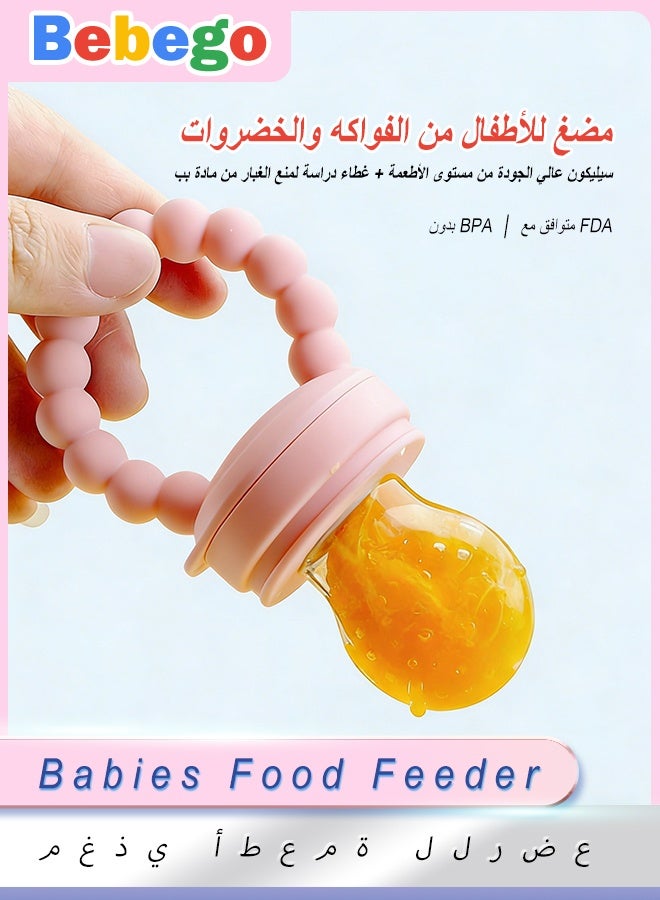 Food Feeder Pacifiers with Pacifier Clips, Baby Fruit Feeder Weaning Dummies Set, Teething Dummy for Babies Infant Toddlers