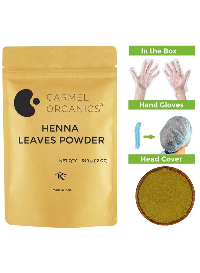 CARMEL ORGANICS - Henna Leaves Powder (340 Grams) For Hair Color| No Added Color & Preservatives | Marudhani Podi/Mardhani Podi/Mehandi | Lawsonia Inermis - Image 1