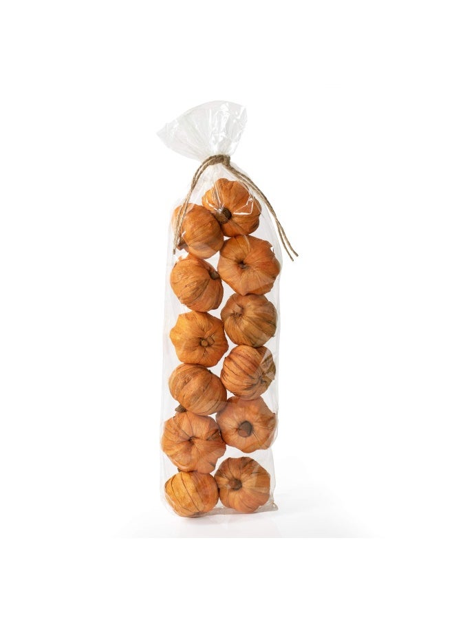 Generic - Andaluca Natural Vase Fillers Mini Pumpkins For Decorating And Crafts Miniature Pumpkins Home Decor Mini Pumpkins - Image 1