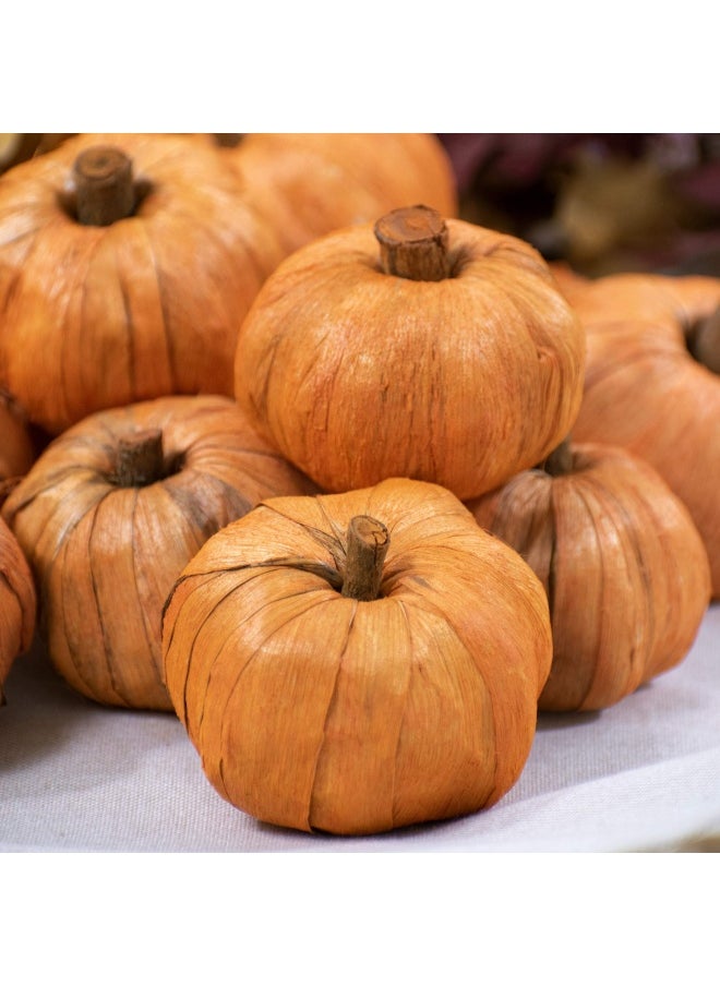 Generic - Andaluca Natural Vase Fillers Mini Pumpkins For Decorating And Crafts Miniature Pumpkins Home Decor Mini Pumpkins - Image 1
