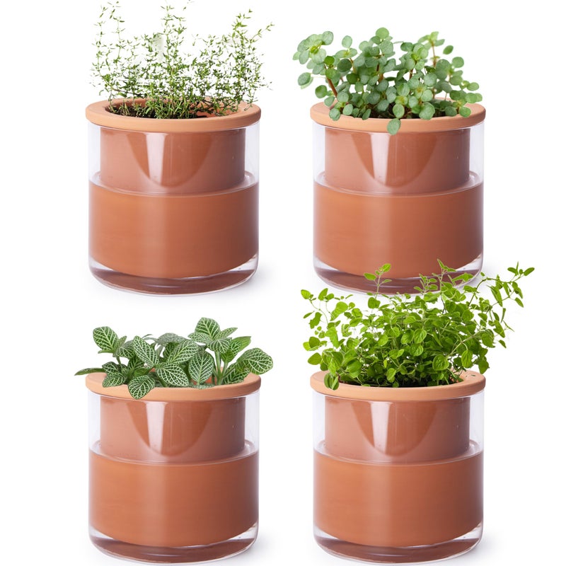 Phoenix Vine 4 Inch Self Watering Plants Pot, Design Terracotta Pot for Plants, Indoor Cylinder Terra Cotta Planter with Glass Vase, Set of 4, 51-A-E-4 - Image 1