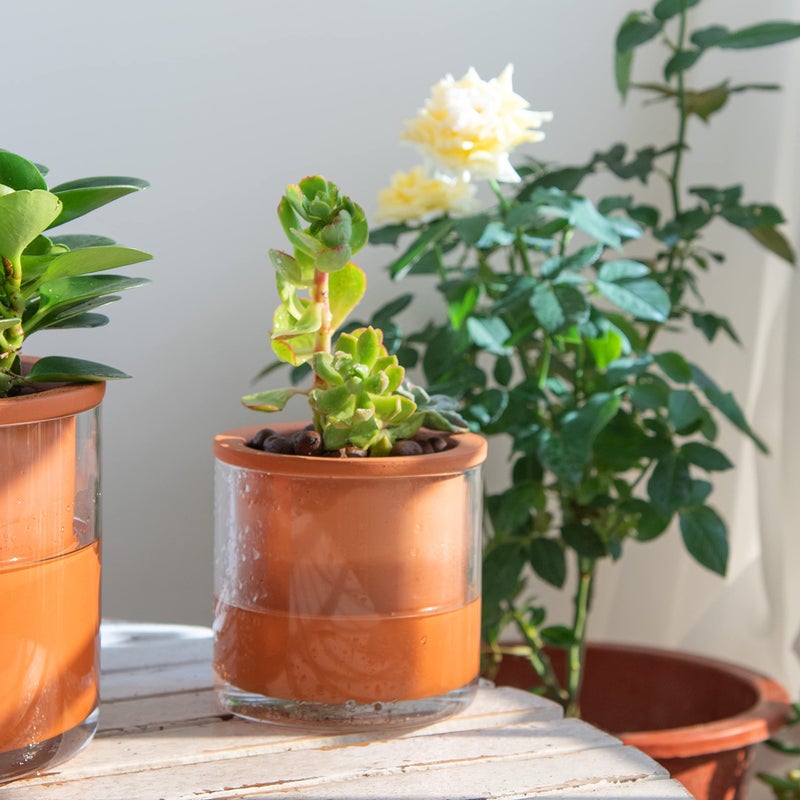 Phoenix Vine 4 Inch Self Watering Plants Pot, Design Terracotta Pot for Plants, Indoor Cylinder Terra Cotta Planter with Glass Vase, Set of 4, 51-A-E-4 - Image 2