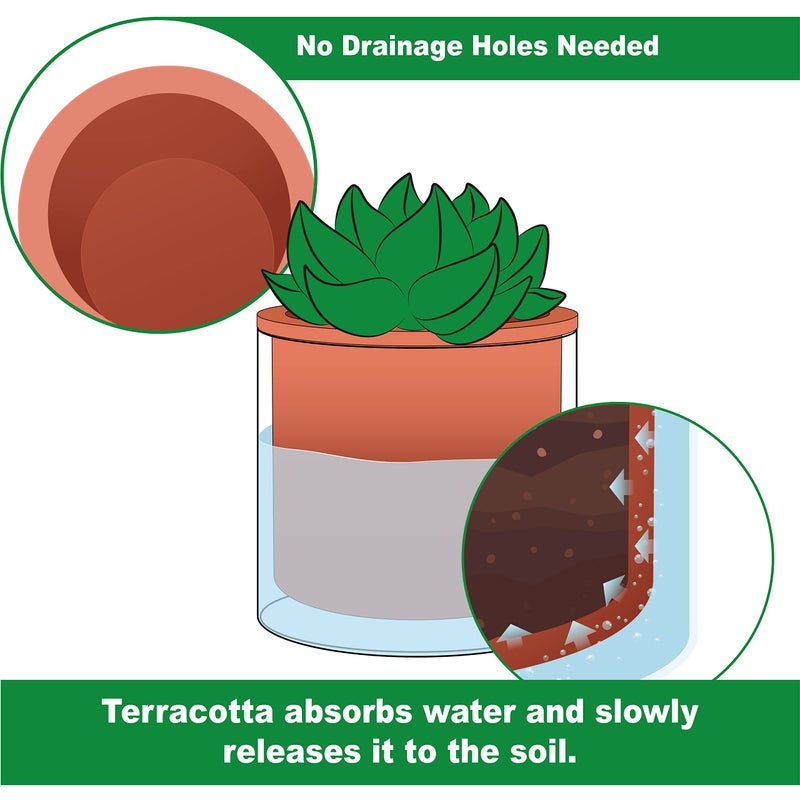 Phoenix Vine 4 Inch Self Watering Plants Pot, Design Terracotta Pot for Plants, Indoor Cylinder Terra Cotta Planter with Glass Vase, Set of 4, 51-A-E-4 - Image 4