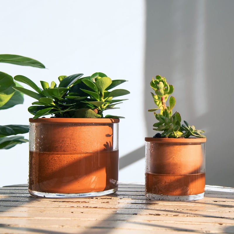 Phoenix Vine 4 Inch Self Watering Plants Pot, Design Terracotta Pot for Plants, Indoor Cylinder Terra Cotta Planter with Glass Vase, Set of 4, 51-A-E-4 - Image 5