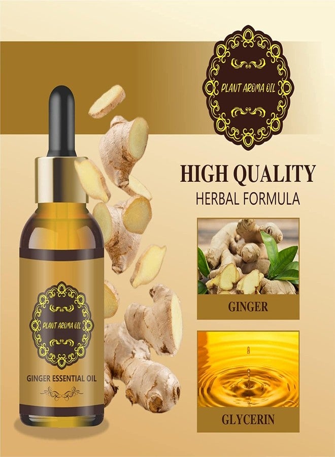 EXOMOON زيت إكسومون لفقدان الدهون، زيت الزنجبيل الطبيعي لتصريف السوائل من البطن، زيت تدليك أساسي للاسترخاء، للحفاظ على شكل مثالي للبطن والخصر 30 مل (عبوة من 3 قطع) - Image 3