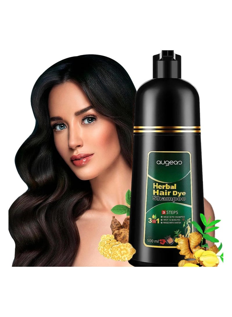 Augeas 500ML Permanent Hair Dye Instant Fast Hair Dye Color Shampoos Natural Herbal Dye Black - Image 2
