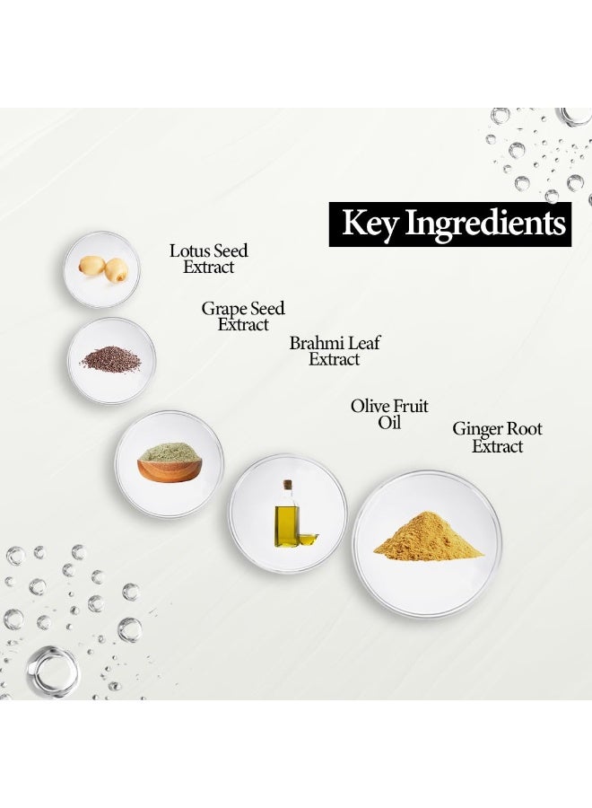 Mitchell USA Lineless Eye Serum – Peptide & Lotus Bio-Repair – Reduces Dark Circles, Wrinkles & Puffiness Lightweight Anti-Aging Formula 15ml - Image 5