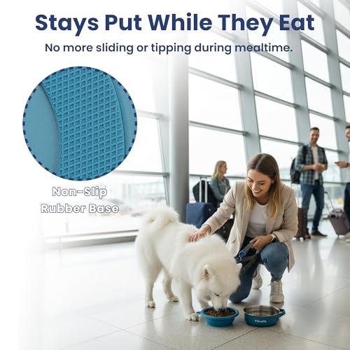 PawsPik 2-in-1 Travel Dog & Cat Bowl – Collapsible BPA-Free Silicone & 18/8 Stainless Steel, Portable & Non-Slip with Handle, Easy to Clean, Food & Water Bowl for On-the-Go Pets (Midnight Summit Blue) - Image 4