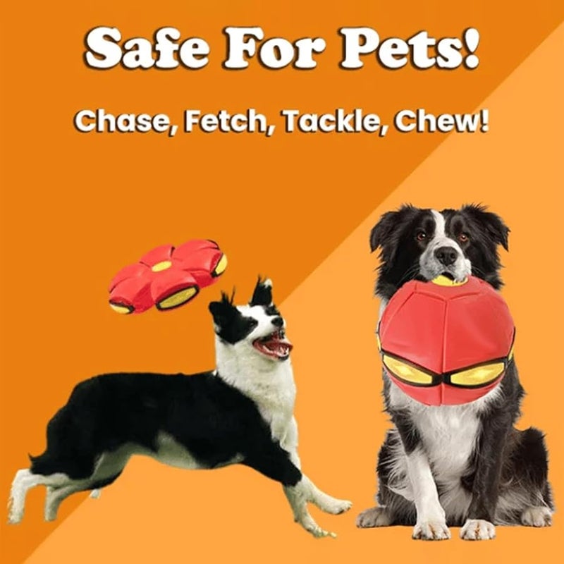 لعبة الكلب الأحمر كرة نطاطة وقرص مع أضواء للكلاب الصغيرة إلى الكبيرة - Image 4