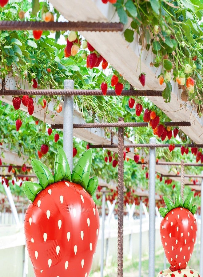 MiniInflat 2 Pack 4 ft Giant Standing Foil Balloon Summer Party Decorations Aluminum Balloons for Berry First Birthday Summer Themed Parties(Strawberry) - Image 3
