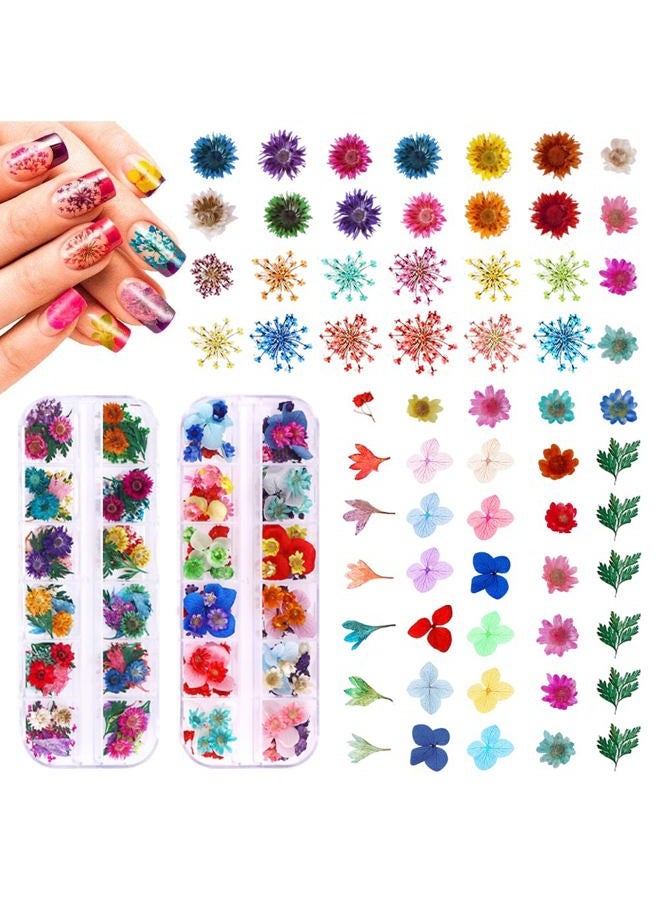 YWLI 216PCS Dried Flowers Nail Art - Nail Art Accessories Kits, 57 Color Lovely Natural Flower Nail Art, Dried Flowers for Resin Molds, Dry Flowers for Nails, - Image 1