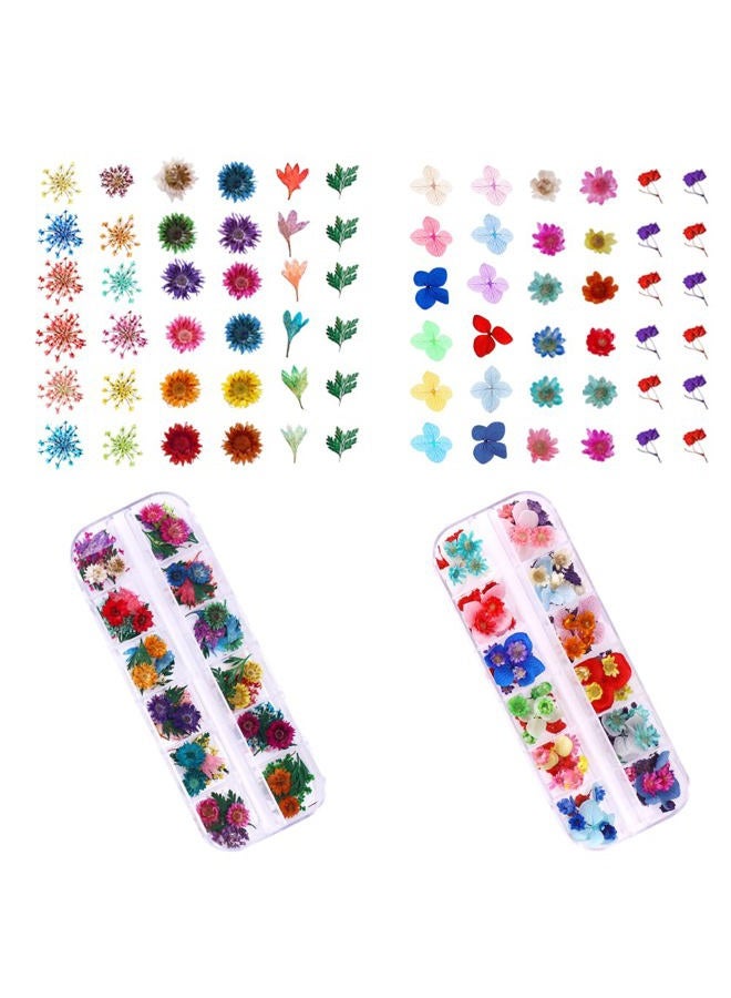 YWLI 216PCS Dried Flowers Nail Art - Nail Art Accessories Kits, 57 Color Lovely Natural Flower Nail Art, Dried Flowers for Resin Molds, Dry Flowers for Nails, - Image 4