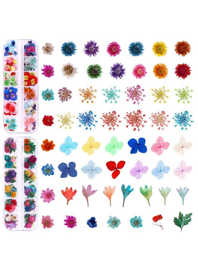 YWLI 216PCS Dried Flowers Nail Art - Nail Art Accessories Kits, 57 Color Lovely Natural Flower Nail Art, Dried Flowers for Resin Molds, Dry Flowers for Nails, - Image 2
