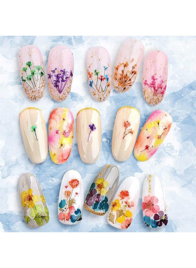 YWLI 216PCS Dried Flowers Nail Art - Nail Art Accessories Kits, 57 Color Lovely Natural Flower Nail Art, Dried Flowers for Resin Molds, Dry Flowers for Nails, - Image 3