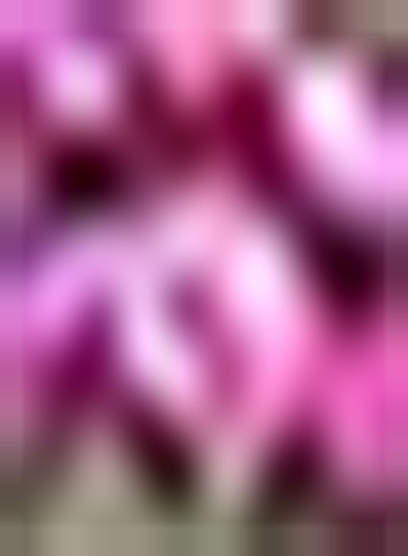 GGOOT 20pcs Mysterious Peony Seeds Celebrity Peonies Hardy Flower Seeds Excellent Selection of Cut Flowers Window Sill Room Decoration - Image 3