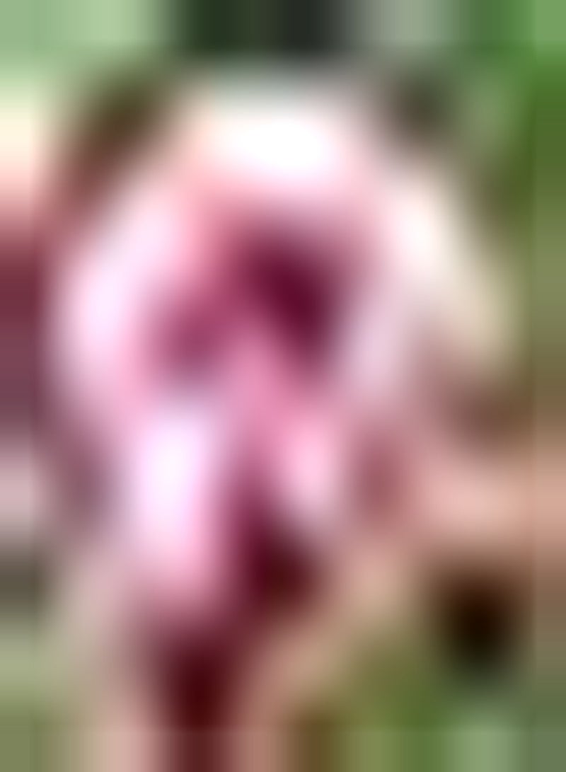 GGOOT 20pcs Mysterious Peony Seeds Celebrity Peonies Hardy Flower Seeds Excellent Selection of Cut Flowers Window Sill Room Decoration - Image 2