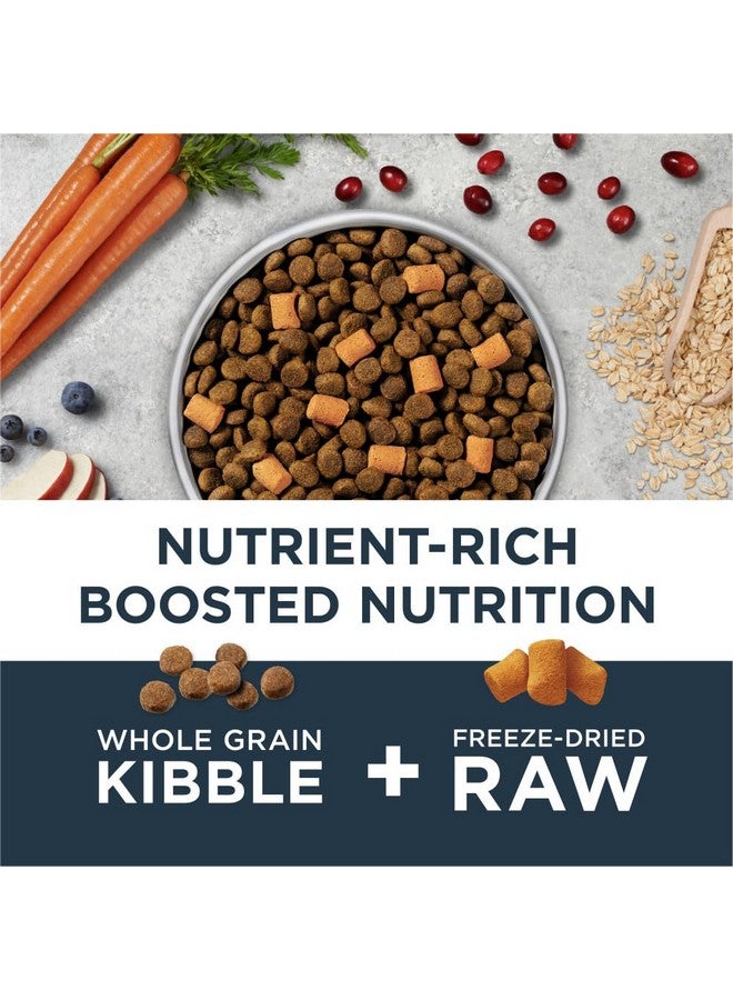 غريزة إنستينكت رو بوست، طعام كلاب جاف طبيعي مع قطع مجففة بالتجميد، حبوب كاملة، دجاج حقيقي - صحة الأمعاء، كيس 3.5 رطل - Image 2