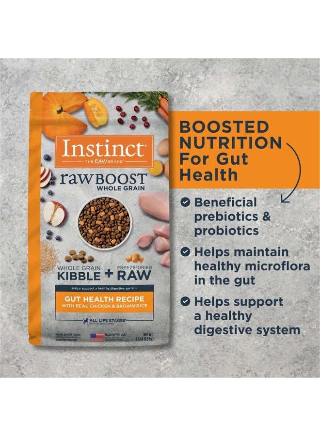 غريزة إنستينكت رو بوست، طعام كلاب جاف طبيعي مع قطع مجففة بالتجميد، حبوب كاملة، دجاج حقيقي - صحة الأمعاء، كيس 3.5 رطل - Image 5