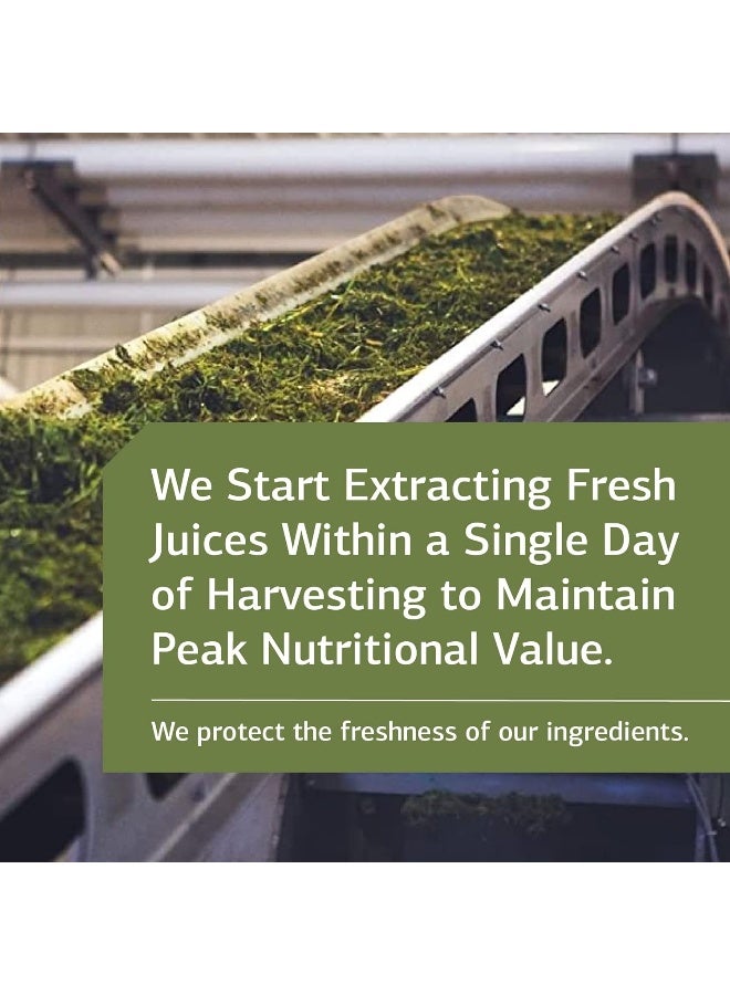 Standard Process Inc. Cholacol - Gallbladder Support Supplement - Fat Digestion Supplement for Digestive Health & Bile Support - Gluten-Free, Non-Dairy & Non-Soy - 90 Tablets - Image 5