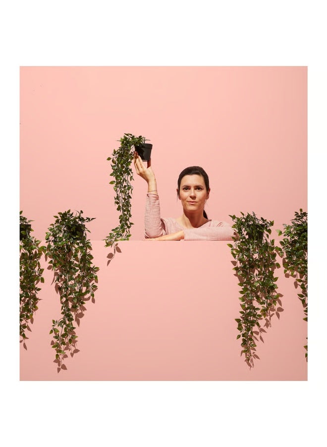 Ikea Artificial Fake Fall Plants Flowers for Outdoor Outside Decoration, UV Resistant Look Real No Fade for Front Door Porch Patio Yard Balcony Autumn Decor, in/outdoor/hanging, 9 cm - Image 5