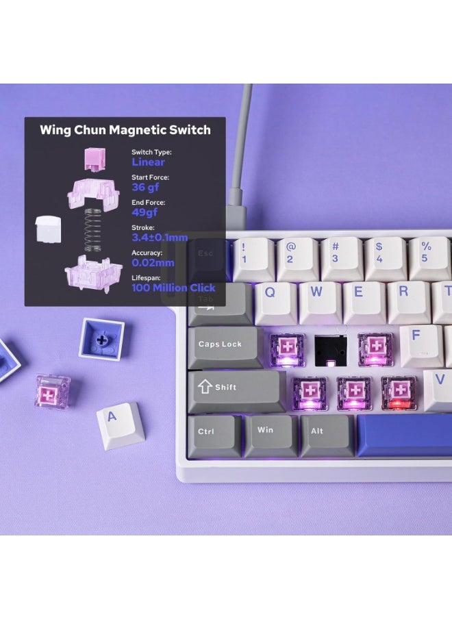 WIN60 HE MAX 60% Wired Magnetic Keyboard with Adjustable Actuation, 8000 Hz Polling Rate, Hall Effect Win Chun Magnetic Switches, Hot-Swap, For FPS Games