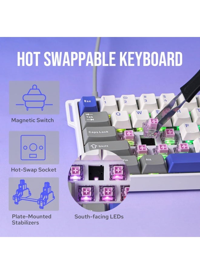 WIN60 HE MAX 60% Wired Magnetic Keyboard with Adjustable Actuation, 8000 Hz Polling Rate, Hall Effect Win Chun Magnetic Switches, Hot-Swap, For FPS Games