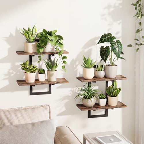 Bamworld Floating Shelves for Wall Planters for Indoor Plants Hanging Shelves Plant Holder Wall Decor Plant Stand Indoor for Plant Hangers Indoor for Living Room Bedroom Bathroom 2Pack Brown - Image 1
