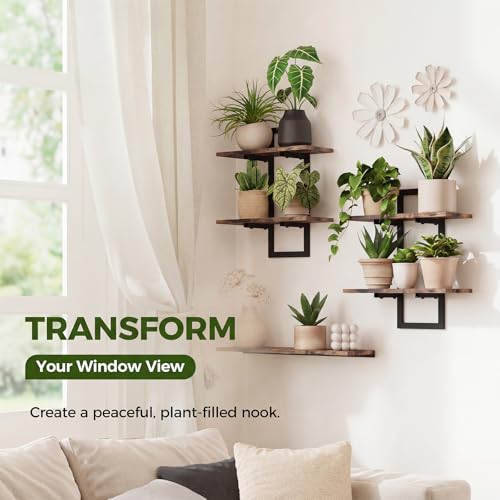 Bamworld Floating Shelves for Wall Planters for Indoor Plants Hanging Shelves Plant Holder Wall Decor Plant Stand Indoor for Plant Hangers Indoor for Living Room Bedroom Bathroom 2Pack Brown - Image 3