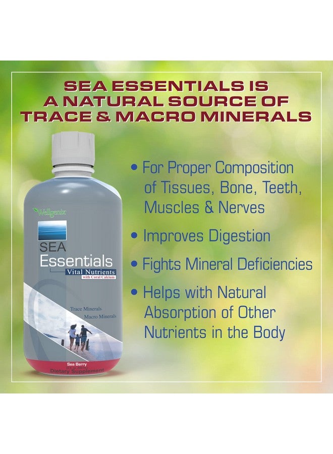 ويلجينيكس Wellgenix Sea Essentials Vital Nutrients - سائل الكالسيوم المرجاني متعدد الفيتامينات - مكمل غذائي يومي للبالغين والأطفال - مشروب معدني مغذي من نباتات البحر - بنكهة التوت البحري 32 أونصة (3) - Image 3