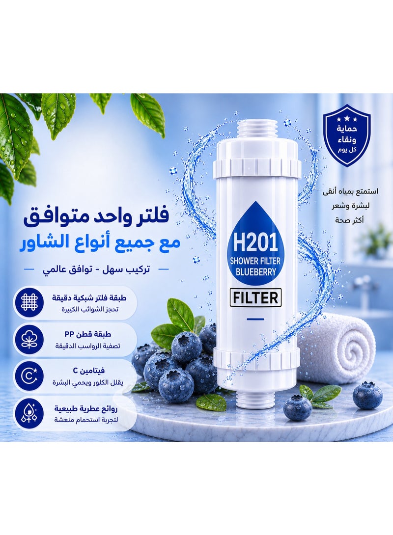 H201 Shower Filter, Blueberry & Lavender Scent, 2-Pack Offer, Multi-Layer Vitamin C Water Filter for Water Purification. Helps Reduce Impurities, Chlorine Residue, and Fluoride. Equipped with Filtration Beads to Help Relieve Dry Skin and Hair, with Quick and Easy Installation - Image 2