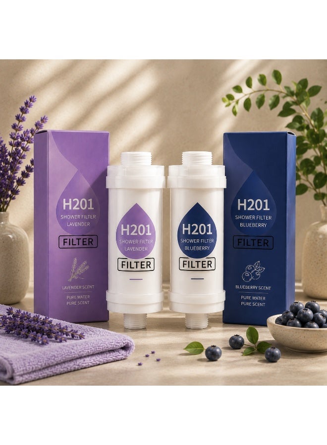 H201 Shower Filter, Blueberry & Lavender Scent, 2-Pack Offer, Multi-Layer Vitamin C Water Filter for Water Purification. Helps Reduce Impurities, Chlorine Residue, and Fluoride. Equipped with Filtration Beads to Help Relieve Dry Skin and Hair, with Quick and Easy Installation - Image 1