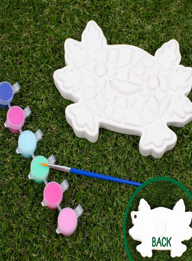 Creative Roots Axolotl Stepping Stone Kit, 7 x 1 x 4.7 Inches, Ceramic, Acrylic Paint, For Kids, Unisex, All Seasons, Traditional Style, Non-Foldable - Image 3