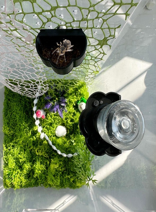 Okueejur Jumping Spider Water Dispenser, Magnetic Hanging Feeder Dish with Cleaning Brush and Tweezers,Fits for Jumping Spiders,Arboreal Animals, and Other Small Animal Accessories (Black, 8ml) - Image 2