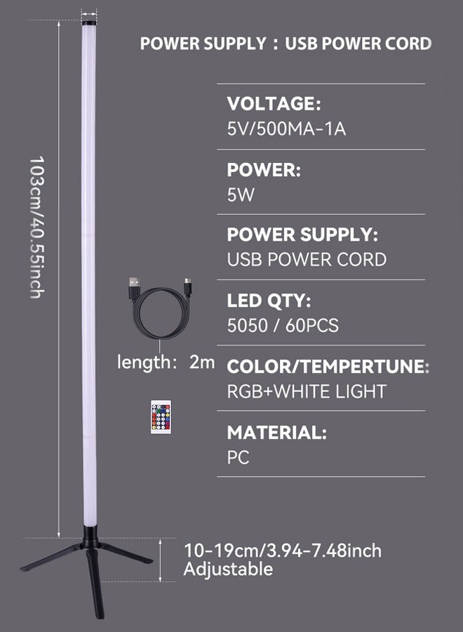 FLYROAD Remote Control LED Light Corner Lamp with 2 m USB Line for living Room Bed Room and Out Door Multicolour 103 cm - Image 2