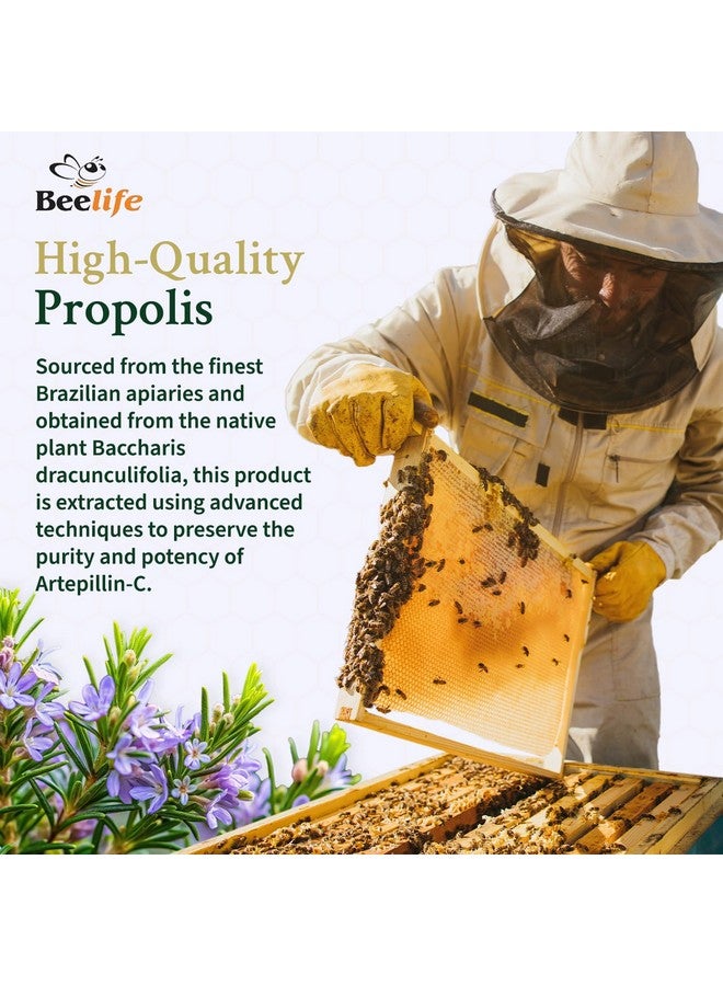 بي لايف كبسولات Beelife Green Propolis - مكمل غذائي من كبسولات البروبوليس الخضراء 100% وحبوب لقاح النحل - مستخلص البروبوليس، كبسولات البروبوليس الخضراء البرازيلية الأصلية - معتمدة وفقًا لمعيار ISO 22000، كوشير (120 كبسولة) - Image 3