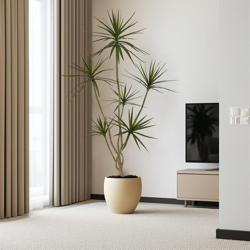 AfanD Artificial Dracaena marginata,5ft Tall Fake Plants Artificial Dracaena marginata Plants for Indoor, Fake Trees for Office Home Living Room Floor Patio Greening Porch Decor - Image 5