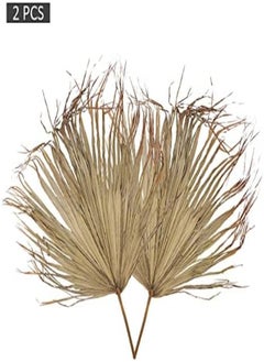 2-Piece Natural Dried Palm Leaves, Dried Palms Plant Spears Fans, Dried Palm Leaves with Stem, Dry Flowers for Decoration, Trimmed Palm Fan Leaf