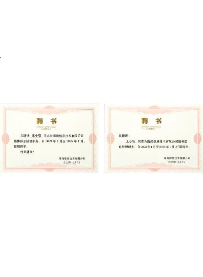 Dsb (Disbi) [10-Pack] 8K Appointment Letter, Appointment Book Cover, Company Employee Award Certificate, Plain Medal Style 10-Pack (With 20 Inner Pages) 050822 - Image 2