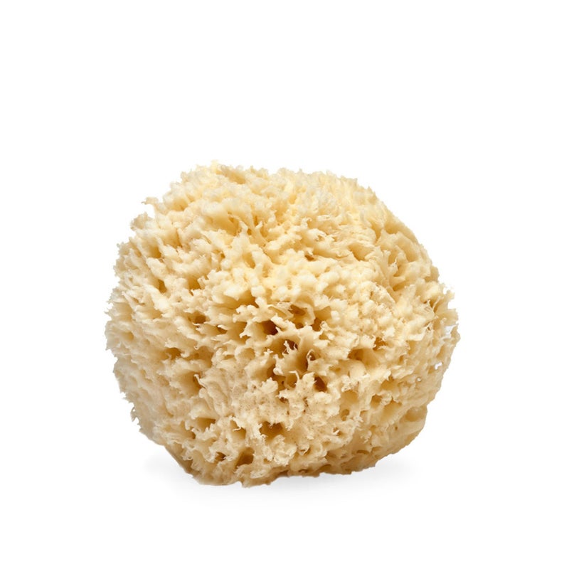 LATHER - Natural Sea Wool Sponge, 4-5" - Organic Exfoliating Body Scrubber - Soft, Gentle Cleansing - Hypoallergenic - All Skin Types - Florida Natural Loofah Sponge - Cruelty Free - Beauty & Skincare - Image 1