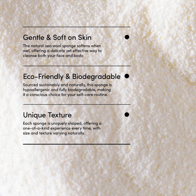 LATHER - Natural Sea Wool Sponge, 4-5" - Organic Exfoliating Body Scrubber - Soft, Gentle Cleansing - Hypoallergenic - All Skin Types - Florida Natural Loofah Sponge - Cruelty Free - Beauty & Skincare - Image 5