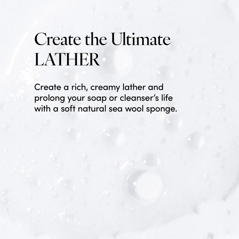 LATHER - Natural Sea Wool Sponge, 4-5" - Organic Exfoliating Body Scrubber - Soft, Gentle Cleansing - Hypoallergenic - All Skin Types - Florida Natural Loofah Sponge - Cruelty Free - Beauty & Skincare - Image 4
