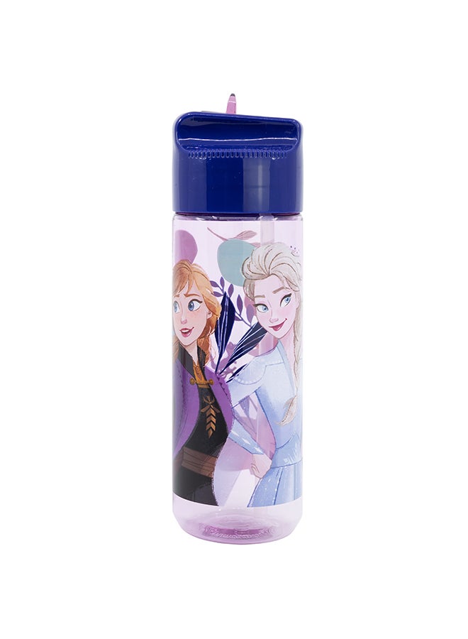 Disney Frozen ECOZEN Hydro Water bottle for Kids 540 ML - Image 1