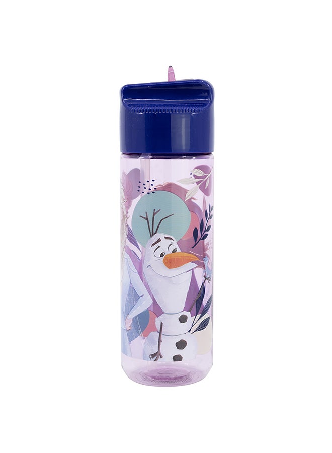 Disney Frozen ECOZEN Hydro Water bottle for Kids 540 ML - Image 2